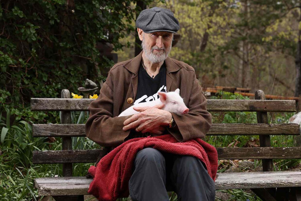 James Cromwell holding a rescued piglet while sitting on a park bench.